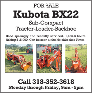 Kubota BX22 for Sale