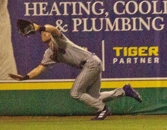 Northwestern State left fielder Balin Valentine lays out for a catch in the sixth inning of Tuesday night’s game. Photo by James Stanfield/ NSU Athletics