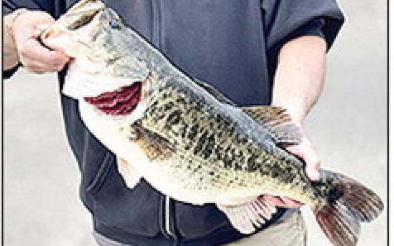 Archie Dor’e II, Natchitoches, caught a 10.8 lbs bass on Feb 21, 2026.