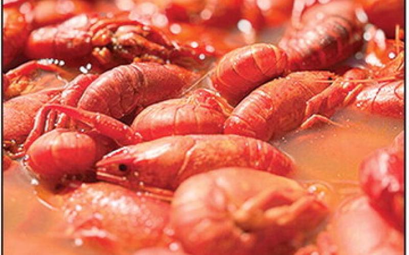 Many seasonal crawfish workers from overseas are being denied federal visas. Photo by James Simon/ Mais La Seafood