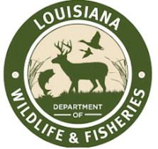 Bids being accepted through May 20 for alligator huntingBids being accepted through May 20 for alligator hunting