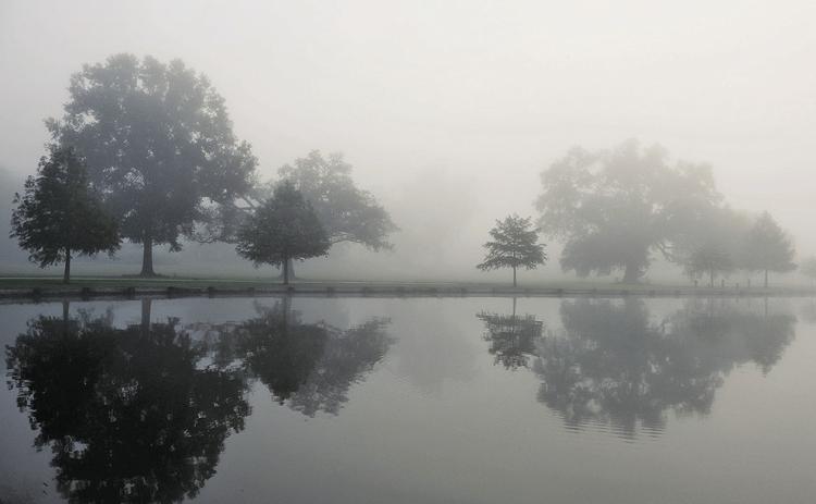As temperatures begin cooling in October, morning fog can create some beautiful landscape art. Bald cypress (Taxodium distichum) trees, a Louisiana Super Plant, will begin to drop needles that have turned a striking, rusty brown. Live oaks (Quercus virginiana), however, will continue to hold onto their leaves until late winter or early spring. Photo by Brenna Barzenick, of Hammond