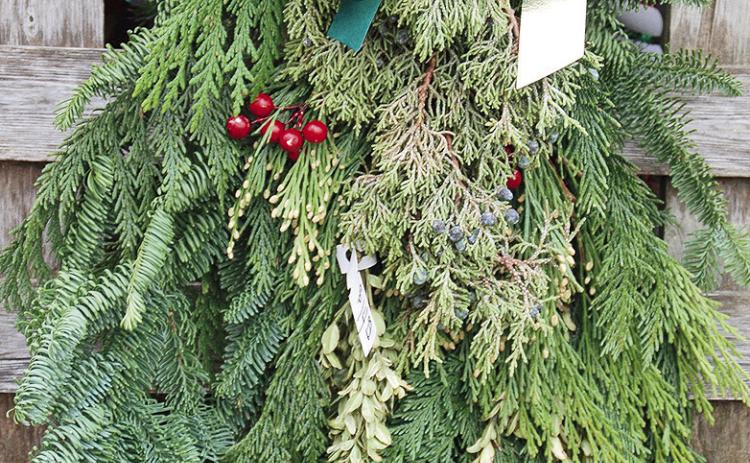 Some cultures believed evergreens symbolized immortality, protection, and future prosperity which resulted in decorating their homes with boughs of fir and wreaths. Photo courtesy of MelindaMyers.com