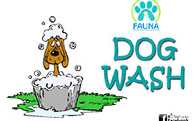 Dog Wash