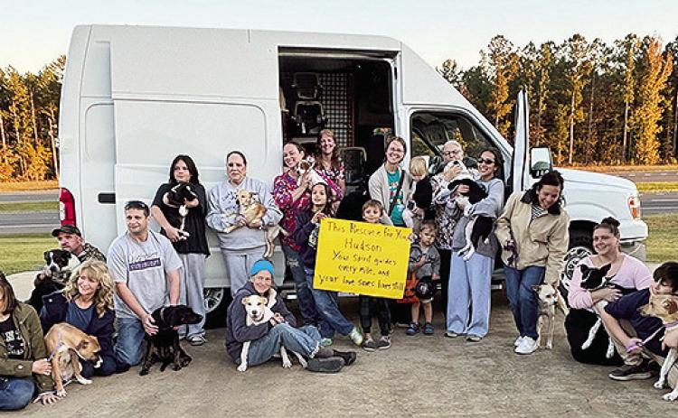 Seventeen Louisiana dogs will find homes through the effort of Animal Rescue Fund of the Hamptons and the Natchitoches FAUNA chapter..