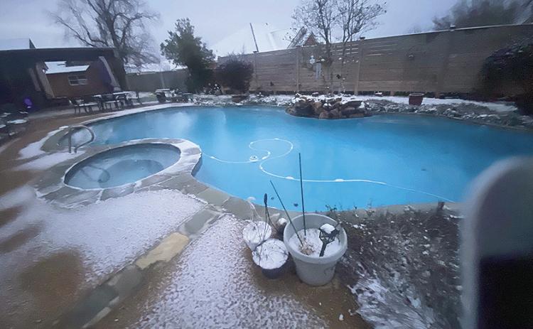 Sneaux Day 2025