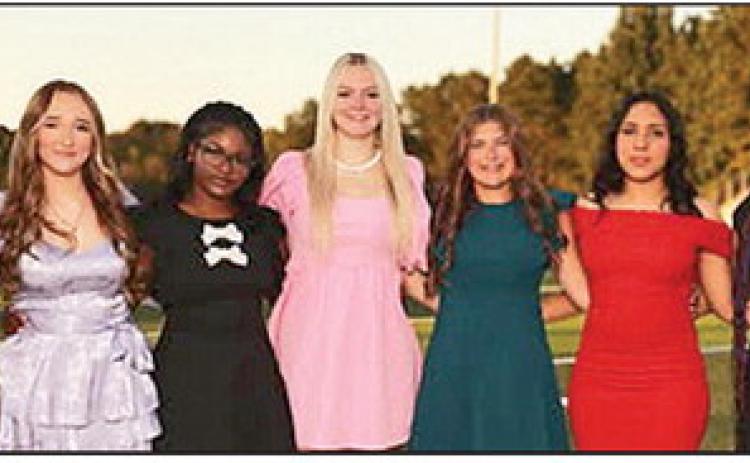 Congratulations to the 2025 Lakeview Homecoming Court. The presentation will take place Friday, Sept. 19 on the Gator Field during halftime of the homecoming game against Woodlawn.