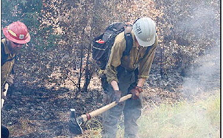 Wildland firefighters clear brush by hand to create containment lines around the Kisatchie Hills Wilderness Area Backbone Fire. Photo by USDA Forest Service