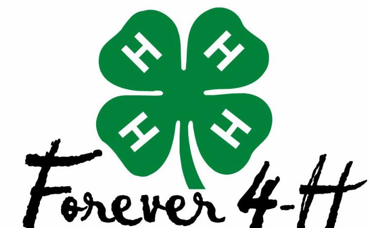4-H teen leaders visit State Capitol