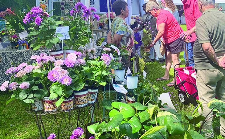 Men, women and children explored a plethora of diverse and unique handcrafted treasures last weekend during the annual crafts festival at Melrose on the Cane. Pictured are plant enthusiasts selecting florals from a Master Gardener.