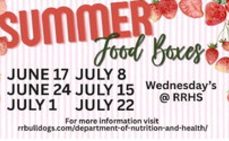 Summer Food Boxes