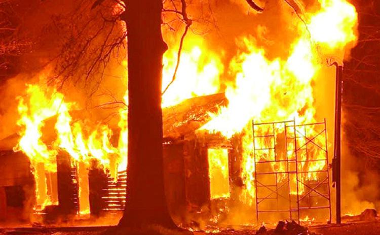 Flora Fire