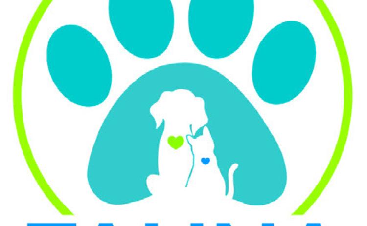 Alt Text for ImageLearn how to keep your pet safe and cool this summer