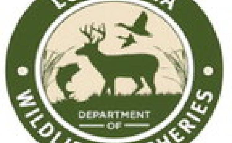 Annual fish for free weekend is June 7-8