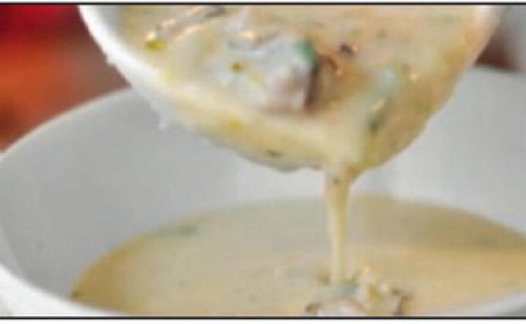 Cream of Oyster Soup
