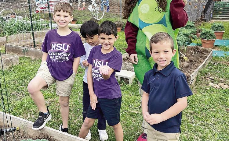 Louisiana State 4-H Food and Fitness Chair Victoria Wiggins is at NSU Elementary Lab this week teaching the importance of school gardening.