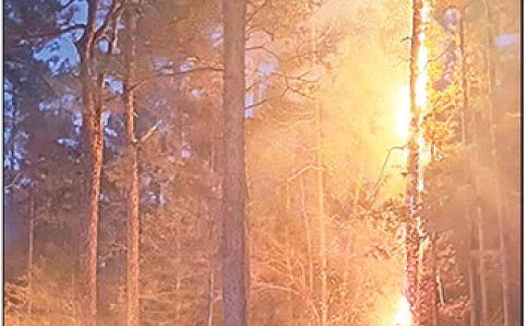 Fires Contained