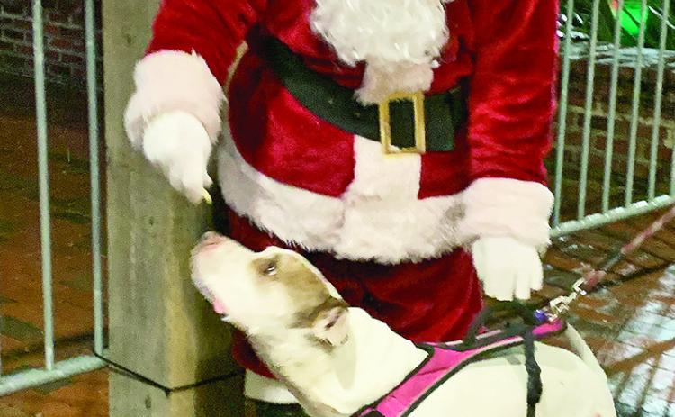 It was treats for everyone at the Santa House on the Riverbank this week, including a visiting dog named Ham. The Santa Claus House on the south end of Downtown Riverbank remains open through Dec. 23. Hours are 6-8:30 p.m.Sunday-Friday and 5-8:30 p.m. on Saturday.