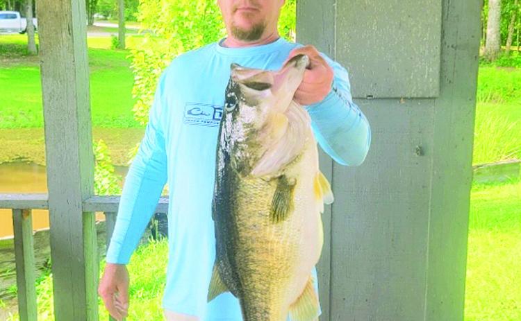 Grand Bayou Big Fish