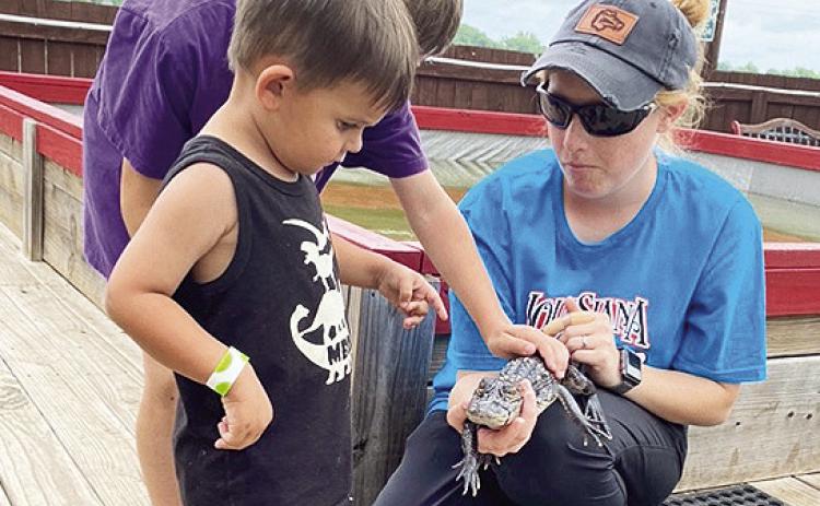 Bryson Abobers and Maddox Durr pet an alligator at the Alligator Farm last Friday.