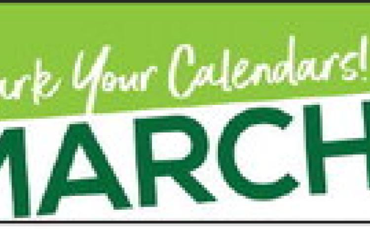 Chamber celebrates excellence in business