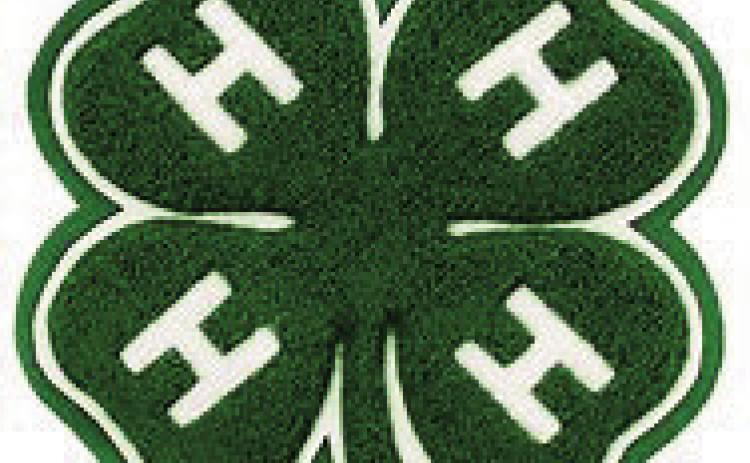 4-H members collecting