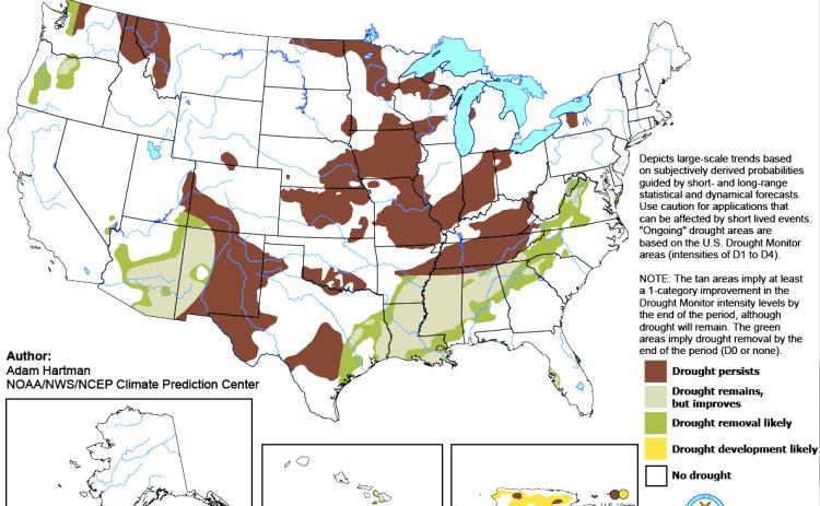 Fire restrictions lifted on Kisatchie Forest