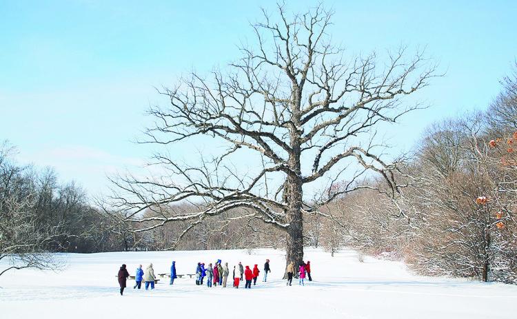 Take a break with a walk in nature