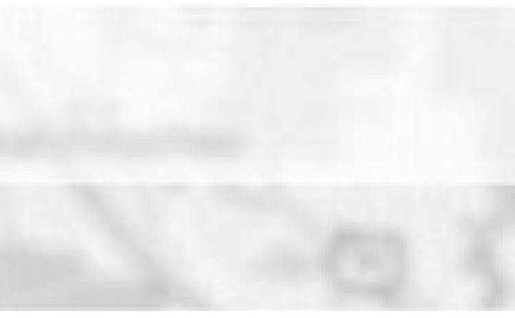 Alt Text for Image