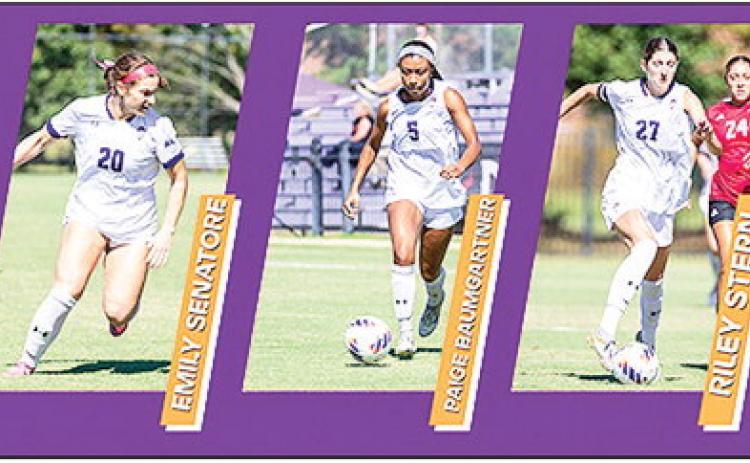 Spritzer named Student-Athlete of Year, 5 All Academic Honors