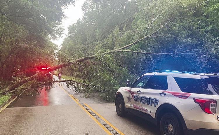NPSO Cpl. D. Halliburton was on the scene of a tree and power lines down blocking the road on La. Hwy 117 near La. Hwy 6 in Hagewood Tuesday at 1:30 p.m. SWEPCO and DOTD were called to the scene. At 2:30 p.m. all lanes were reportedly cleared.