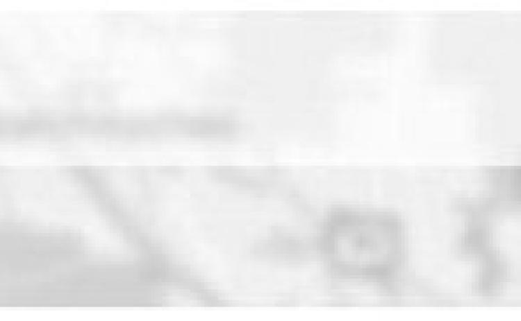 Alt Text for Image