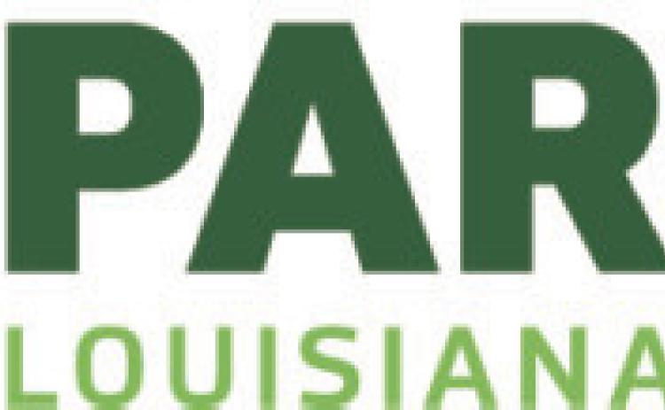 PAR offers analysis of 4 amendments on ballot