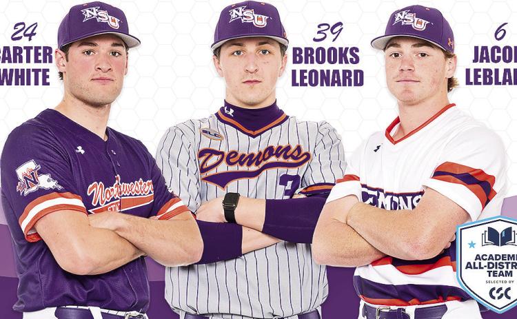 Demon athletes meet rigorous standards for Academic All-District