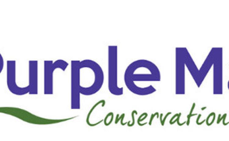 Early Bird: America’s beloved Purple Martins return to Louisiana
