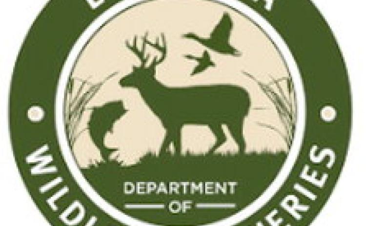Bids being accepted through May 20 for alligator huntingBids being accepted through May 20 for alligator hunting