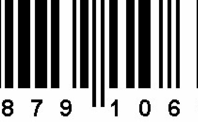 Alt Text for Image