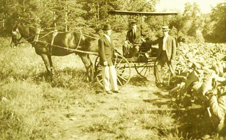 Soil scientists conduct soil investigations on tobacco soils for the Cecil County, Maryland, soil survey published in 1899
