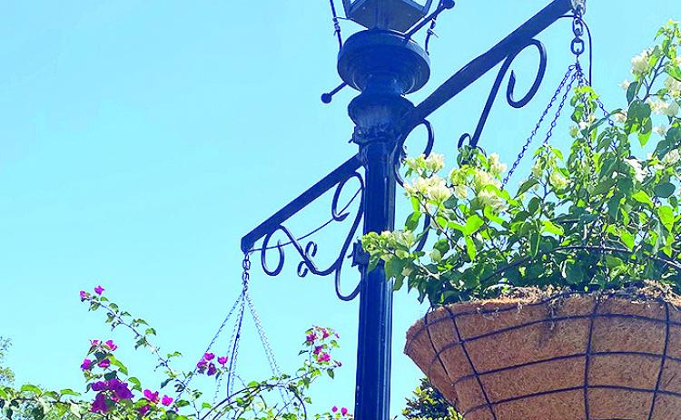 Flower Baskets return to Front Street