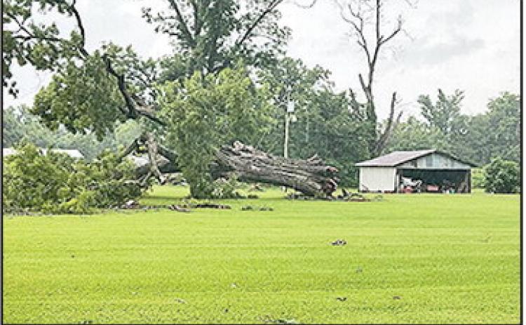 Thunderstorms and High Winds