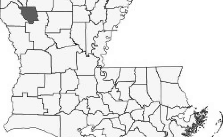 Red River Parish News