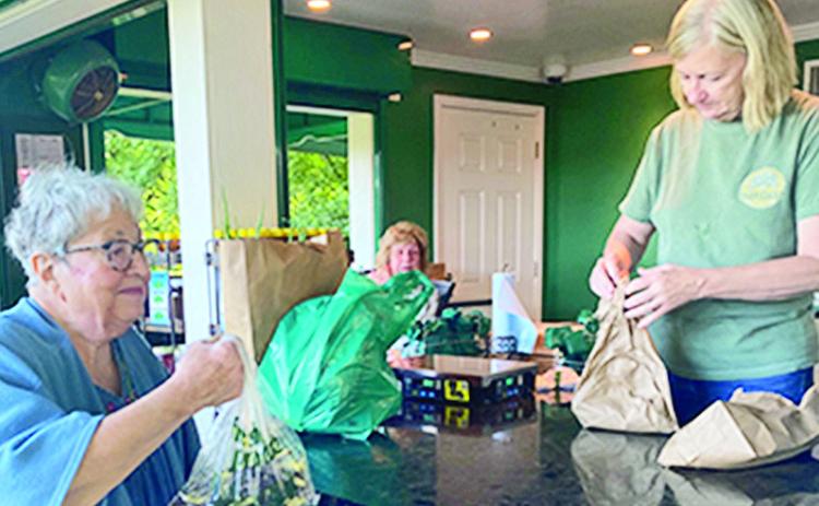 Natchitoches resident Charlotte Ragsdale at left treks to Ed Lester Farms, an outdoor farmers market at the foot of the Coushatta bridge, to purchase fresh picked fruit and vegetables. Mary Ann Longino is behind the counter ringing up and bagging the purchase.