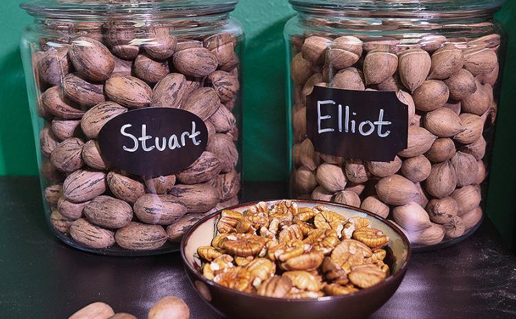 Stuart and Elliot are two common pecan varieties in Louisiana. Photo by Olivia McClure/LSU AgCenter