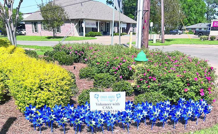 Across the Natchitoches area, bright blue CASA pinwheels like these in front of BOM on Keyser will be spinning in yards, gardens and public spaces as a reminder that every child deserves a safe and nurturing home.The pinwheel has become the national symbol for child abuse prevention.