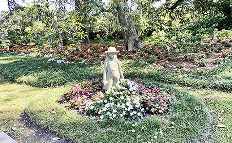 Setting up a memorial garden can be a deeply personal and therapeutic process.