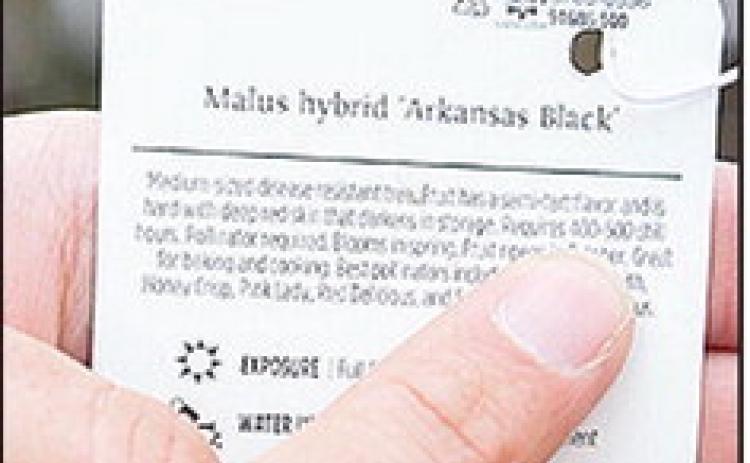 Check plant tags for information on chill hour requirements before making a purchase.