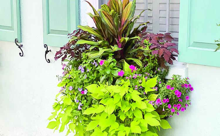 Window containers offer a way to add plants in small spaces.