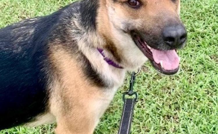 Maybel has pleasing personality, loyalty, intelligence and more
