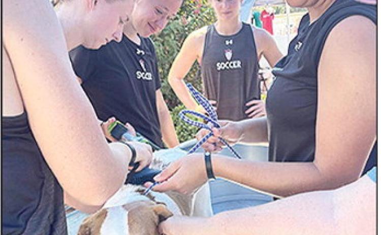 NSU women’s soccer players were among the numerous volunteers who showed up Saturday at Tractor Supply for the FAUNA Dog Wash &amp; Nail Clip Day to wash pups for a good cause. FAUNA is an all-volunteer 501(c)(3) animal rescue organization whose mission is to rpovide and promote humane treatment for homeless and neglected animals in need. See Page 3A.