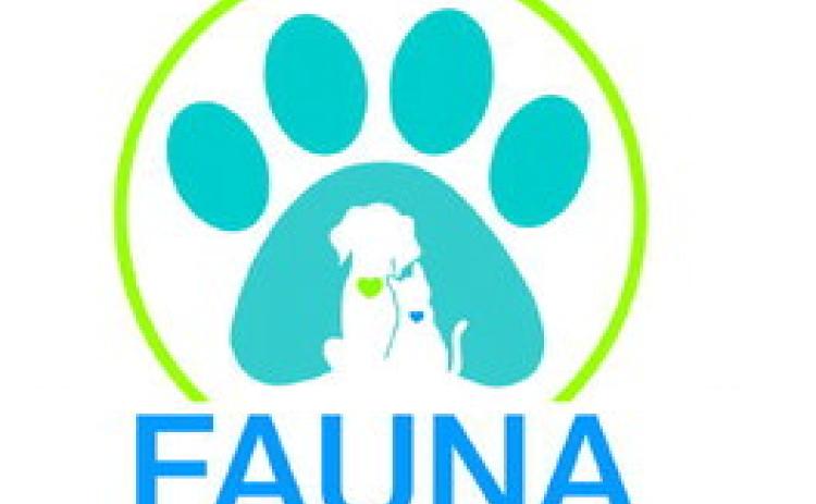 FAUNA Pet of the We